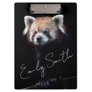 Carpeta De Pinza Oso Panda Rojo