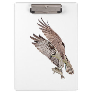 Carpeta De Pinza Osprey con un pez