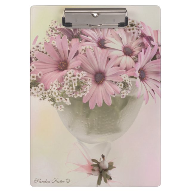 Carpeta De Pinza Osteospernum rosa (Anverso)