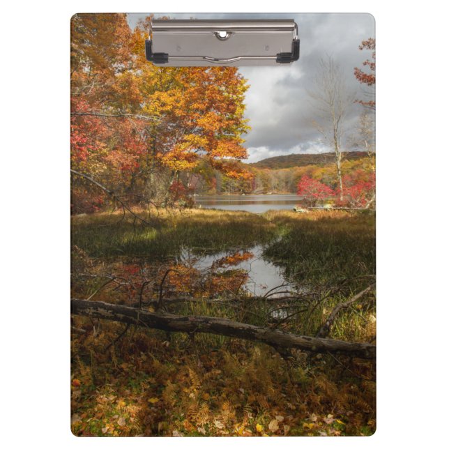 Carpeta De Pinza Otoño del Noreste (Anverso)