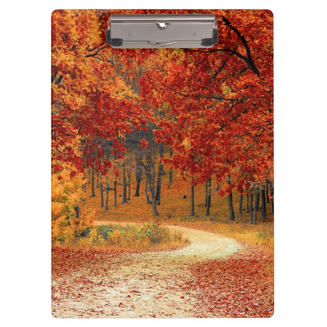 Carpeta De Pinza otoño en el bosque (Anverso)