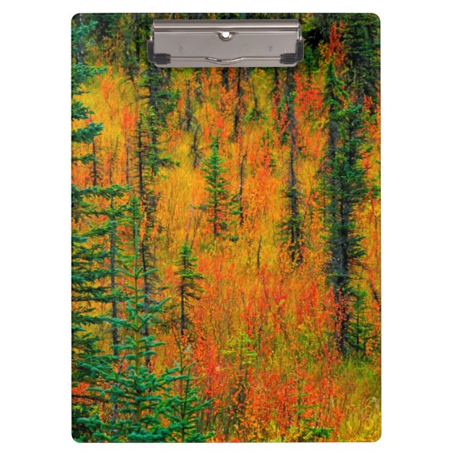 Carpeta De Pinza Otoño en una pradera (Anverso)