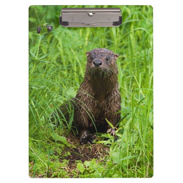 Carpeta De Pinza Otter fluvial inteligente (Anverso)
