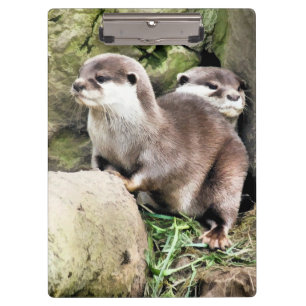 CARPETA DE PINZA OTTERS