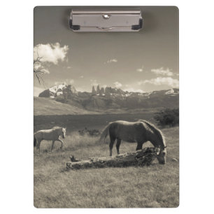 Carpeta De Pinza Paisaje con caballos