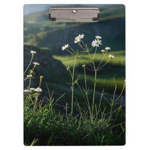 Carpeta De Pinza Paisaje natural de la margarita blanca floral