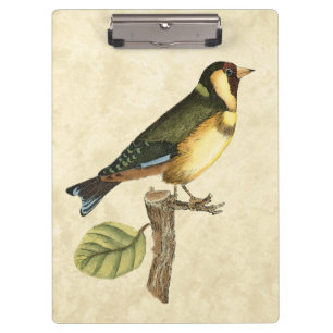 Carpeta De Pinza Pájaro amarillo y verde encaramado en una pequeña