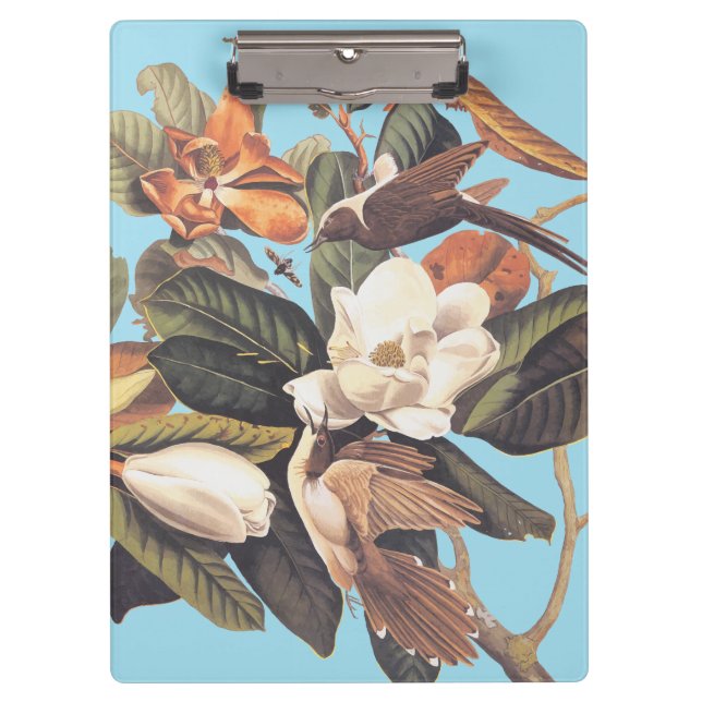 Carpeta De Pinza Pájaro cucú negro (Anverso)