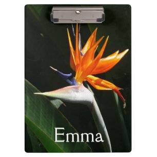 Carpeta De Pinza Pájaro del Naranja del paraíso Flor tropical