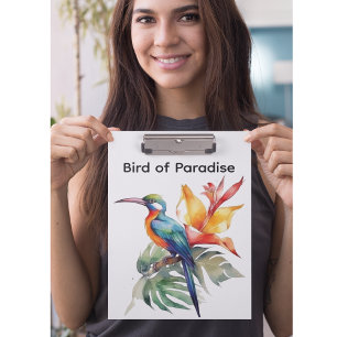 Carpeta De Pinza Pájaro del paraíso, colorido pájaro fantasma 'n fl