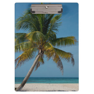 Carpeta De Pinza Palmera y playa de arena blanca 2