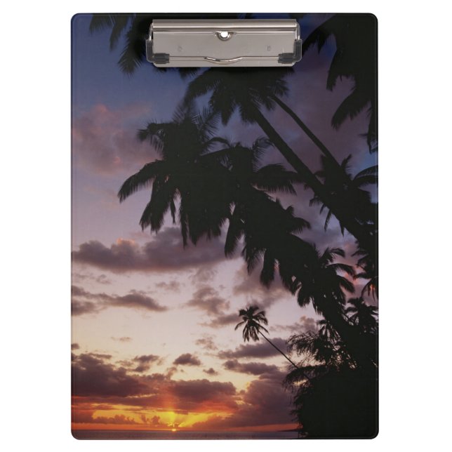 Carpeta De Pinza Palmeras en el mar (Anverso)