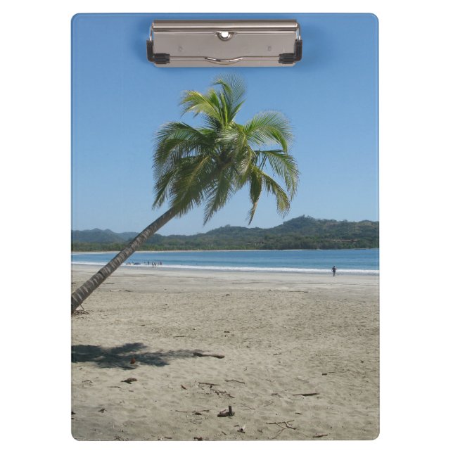 Carpeta De Pinza Palmeras en la playa (Anverso)