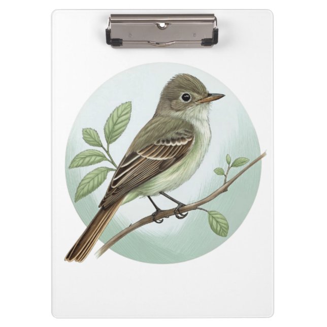 Carpeta De Pinza Papamoscas acadio (Anverso)