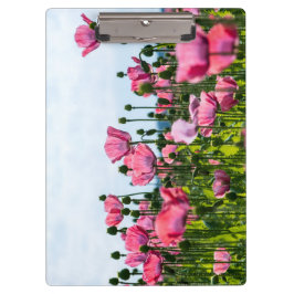 Carpeta De Pinza Papas rosadas