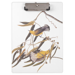 Carpeta De Pinza Par de pájaro prothonotario amarillo de Audubon