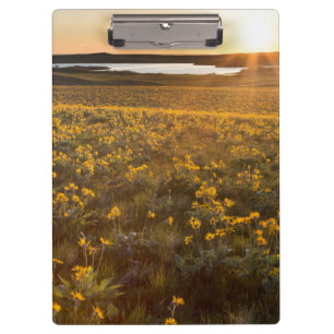 Carpeta De Pinza Paraje de flores silvestres de Balsamroot de hoja 