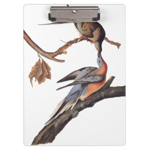 Carpeta De Pinza Pareja Audubon de la cervecería de cerdos de pasaj