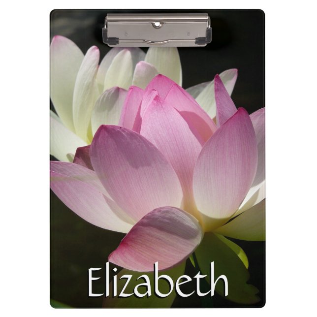 Carpeta De Pinza Pareja de flores de Lotus II (Anverso)