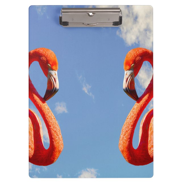 Carpeta De Pinza Pareja Flamingo Caribeña (Anverso)