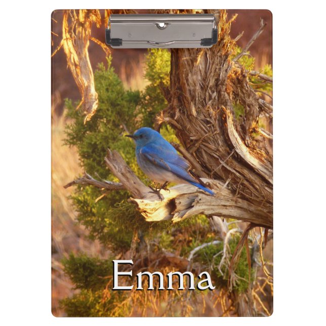 Carpeta De Pinza Parque nacional de Arches (Anverso)