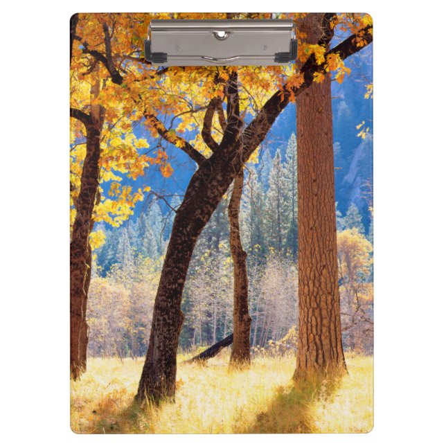 Carpeta De Pinza Parque Nacional Yosemite (Anverso)