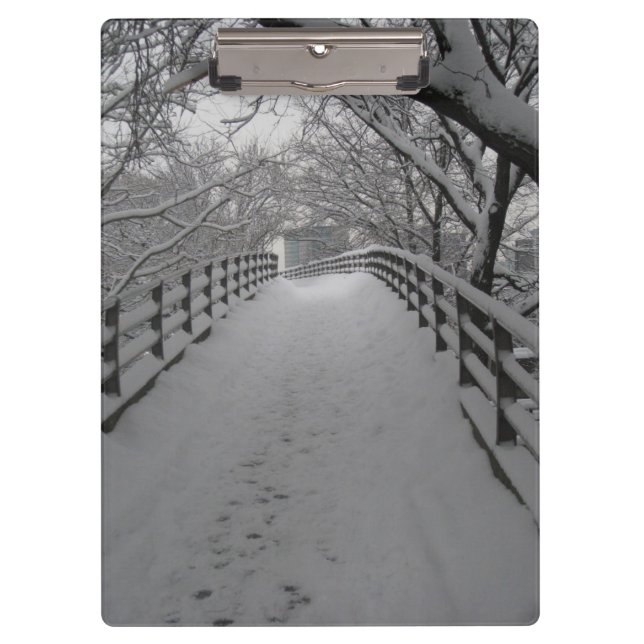 Carpeta De Pinza Pasarela (Anverso)