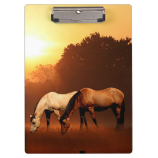 Carpeta De Pinza Pasto de caballos en el amanecer