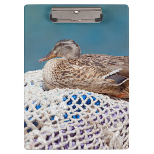 Carpeta De Pinza Pato en desuso