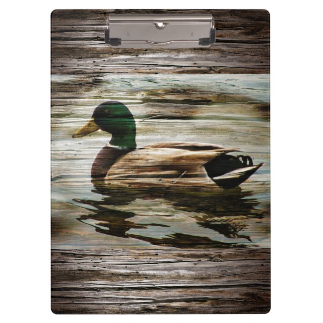 Carpeta De Pinza Pato mallard (Anverso)
