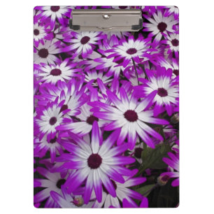 Carpeta De Pinza Patrón de flores, Jardines Kuekenhof, Lisse,
