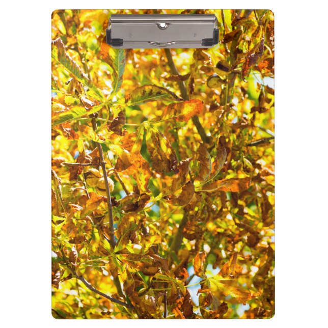 Carpeta De Pinza Patrón de hojas de otoño (Anverso)