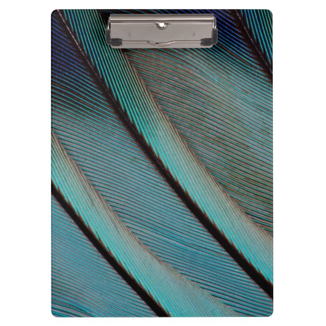Carpeta De Pinza patrón de pluma azul (Anverso)