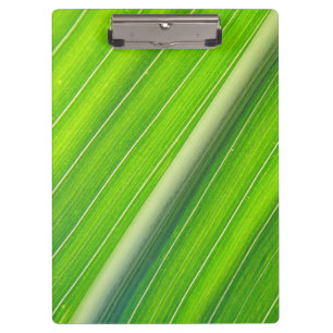 Carpeta De Pinza Patrón de rayas naturales verdes