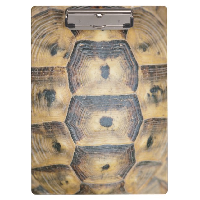 Carpeta De Pinza Patrón de shell de tortuga (Anverso)