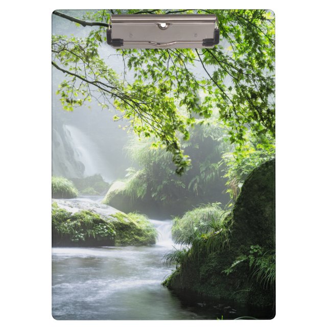 Carpeta De Pinza Paz Verde (Anverso)
