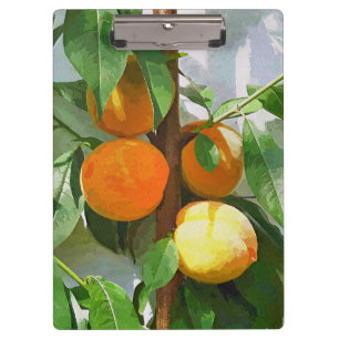 CARPETA DE PINZA PEACHES