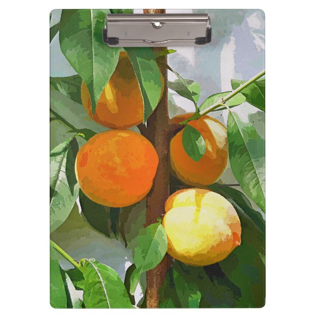 CARPETA DE PINZA PEACHES (Anverso)