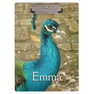 Carpeta De Pinza Peacock Hermosa Fotografía Natural
