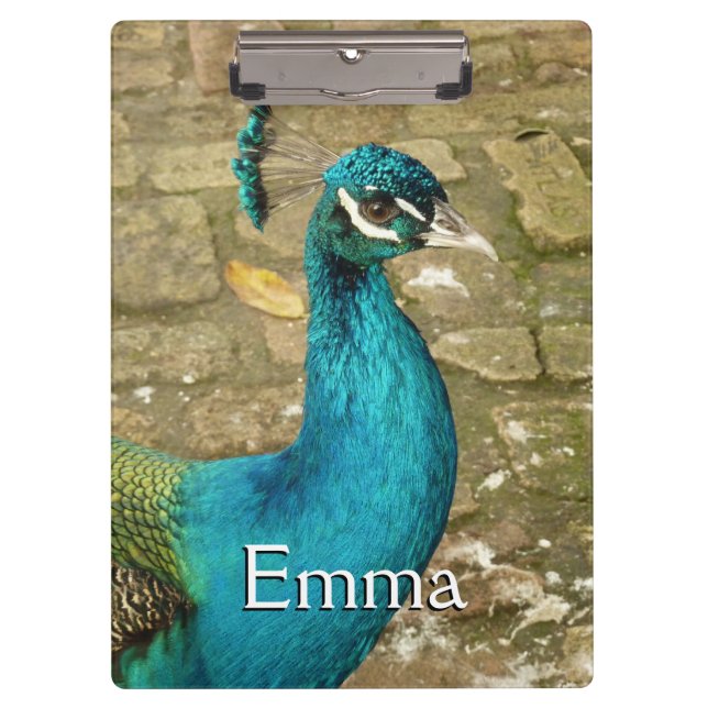 Carpeta De Pinza Peacock Hermosa Fotografía Natural (Anverso)