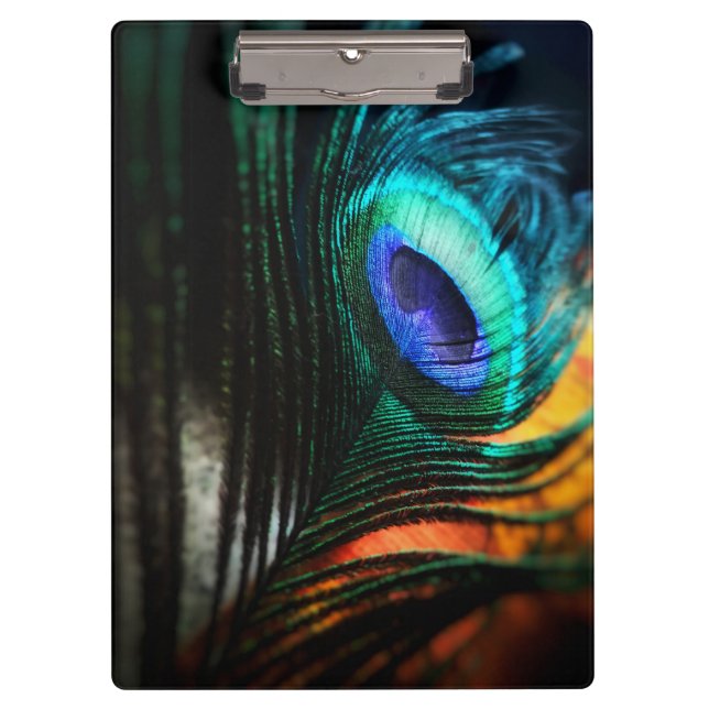 Carpeta De Pinza Peakcock Feather de cerca y personal (Anverso)