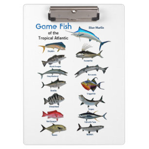 Carpeta De Pinza Peces de caza del Atlántico tropical