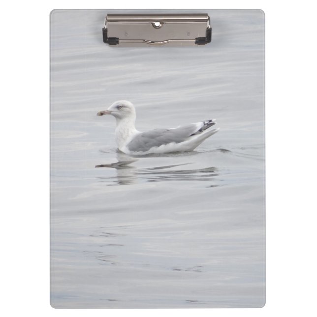 Carpeta De Pinza Pequeña gaviota (Anverso)