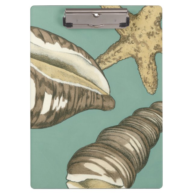 Carpeta De Pinza Pequeño trío de conchas en Verde azulado (Anverso)