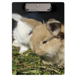 Carpeta De Pinza Pequeños conejitos esponjosos