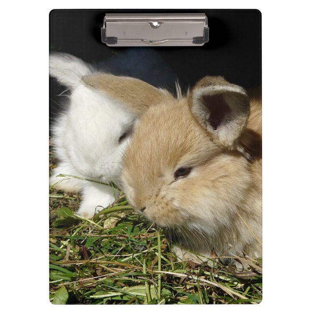 Carpeta De Pinza Pequeños conejitos esponjosos (Anverso)