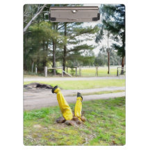 Perdido en el jardín otra vez