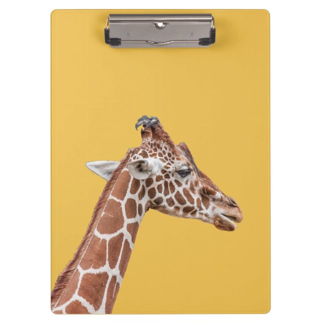 Carpeta De Pinza Perfil de Giraffe (Anverso)