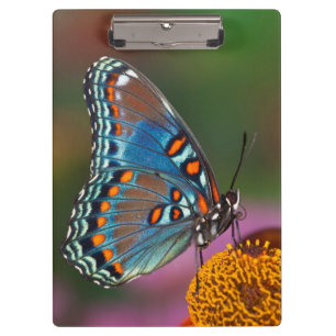 Carpeta De Pinza Perfil de mariposa en una flor