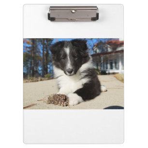 Carpeta De Pinza perrito blanco y negro de shap
